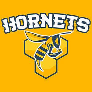 School Logo and Mascot