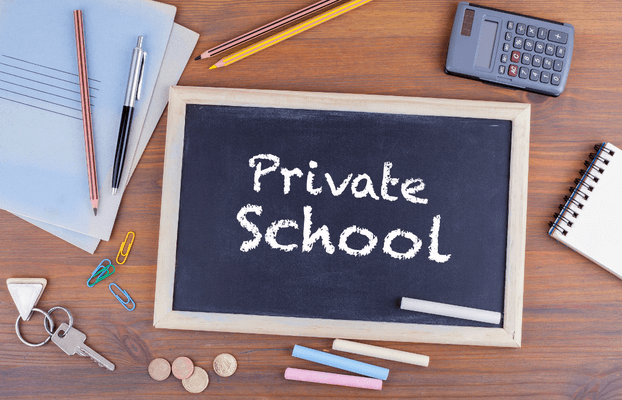 Read more about the article The Rise of Private Schools